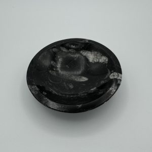 Orthoceras Bowl