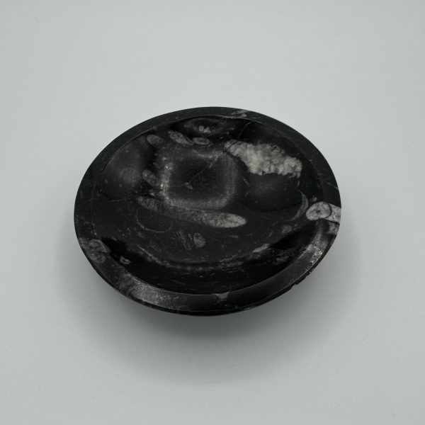 Orthoceras Bowl